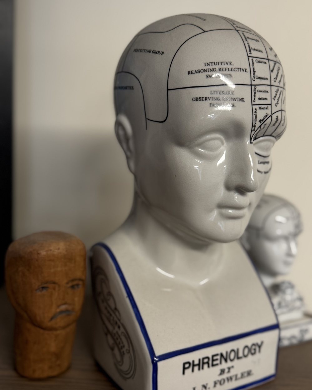 A ceramic phrenology head on a shelf